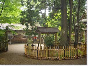 猿丸大夫故址塚(背後)