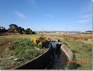 上狛集落の環濠跡水路(北西部)