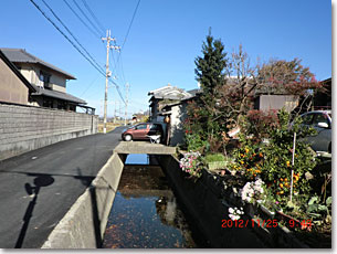 上狛集落の環濠跡水路(西側南部)