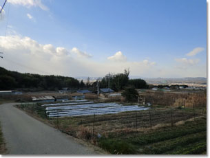 山城古道・椿坂