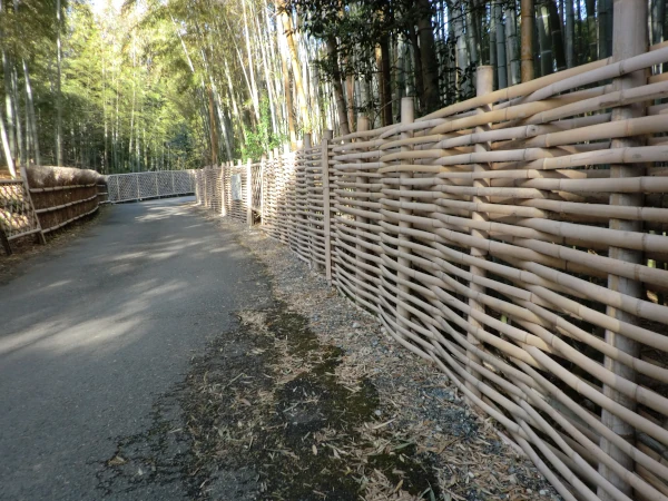 竹の径：竹穂垣(左手前)・寺戸垣(左奥)・深田垣(右)