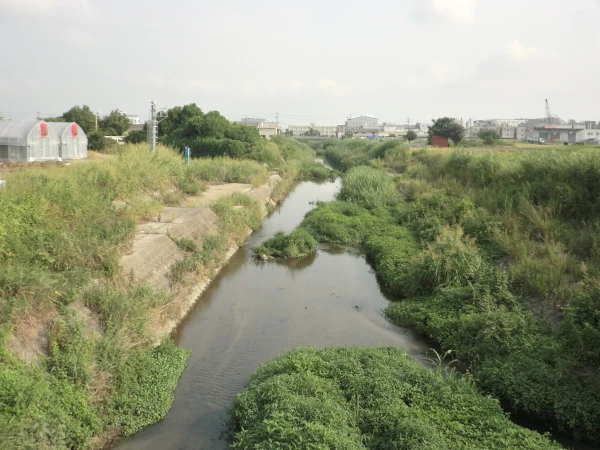 荒州北橋を北流する古川