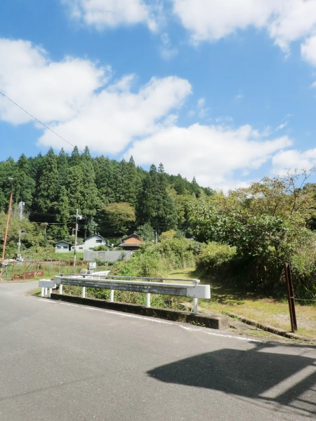 有王地区から見た駒留山方面
