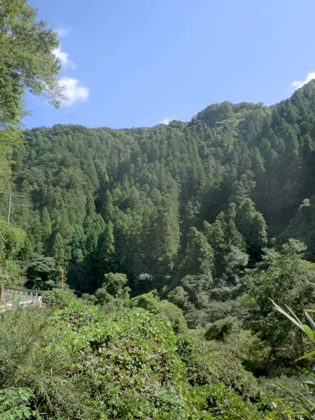 府道和束井手線から見た山吹山